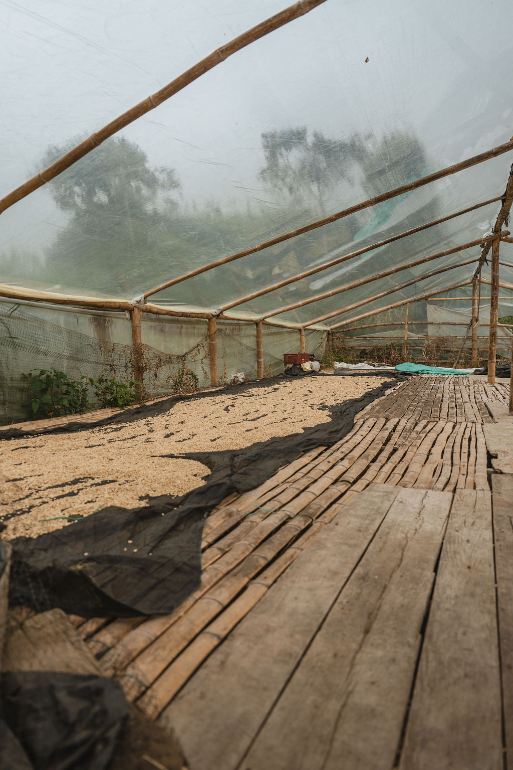 MONKAABA