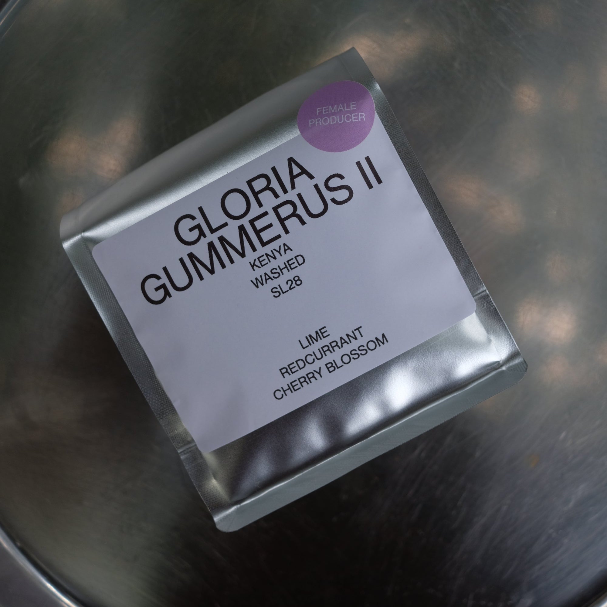 GLORIA GUMMERUS II