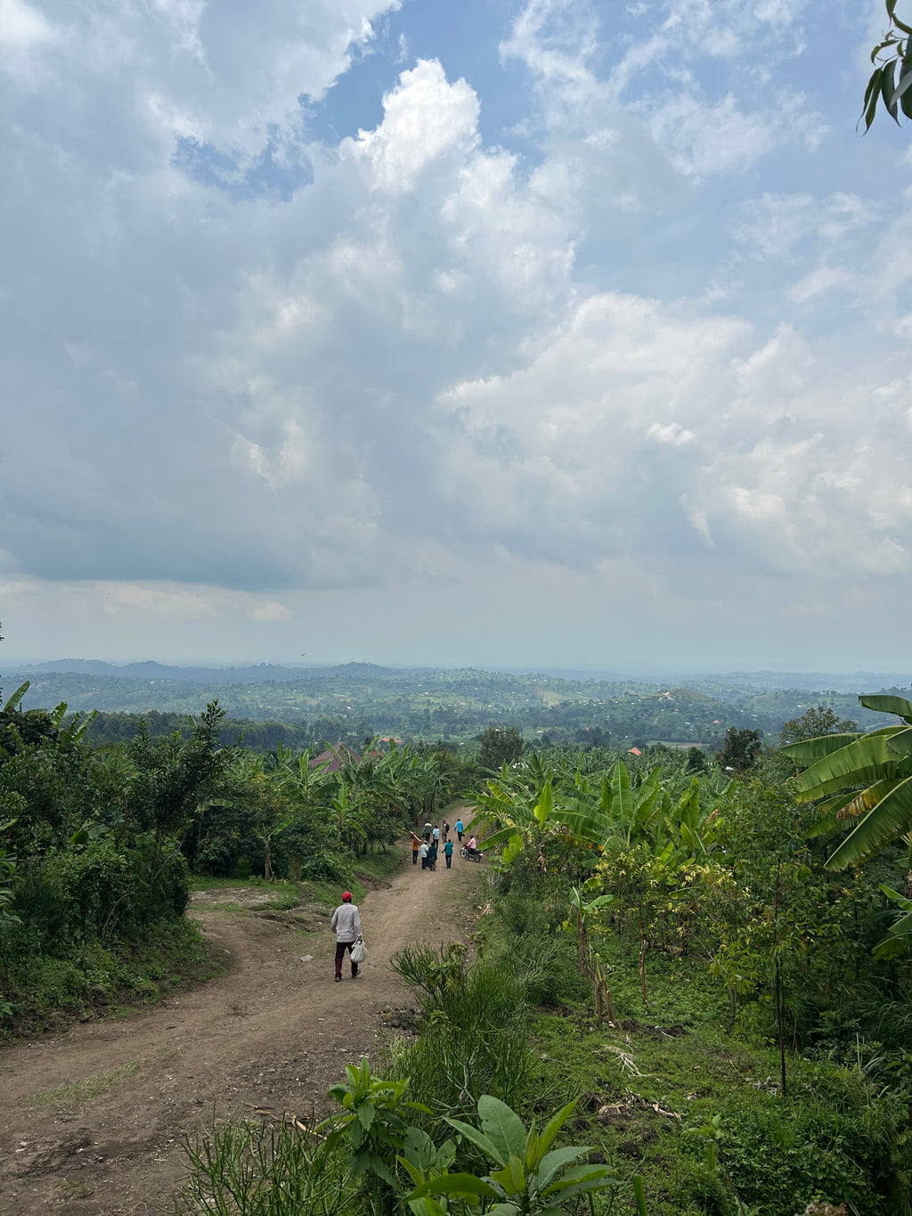KITONYA FARMERS
