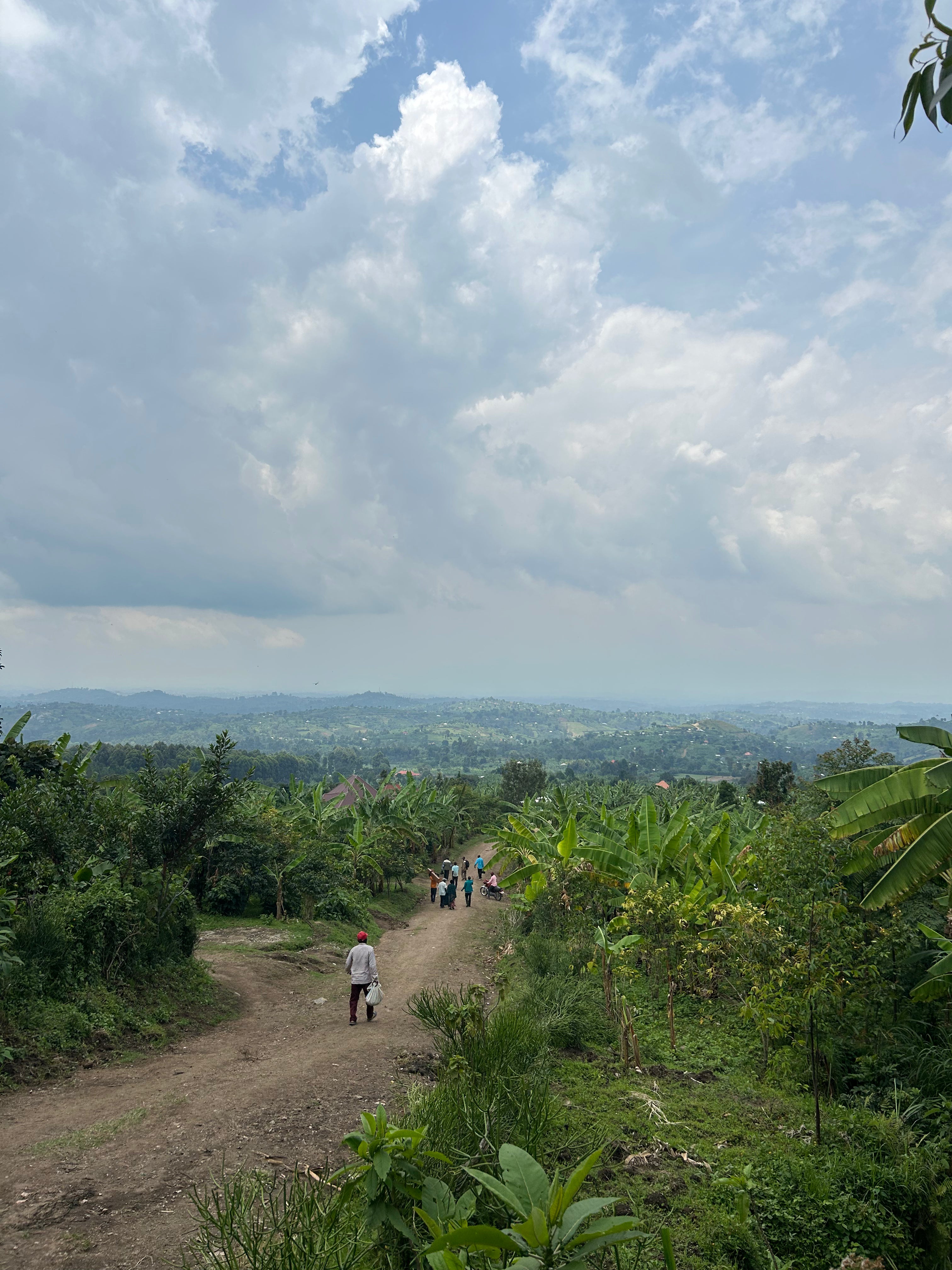 KITONYA FARMERS