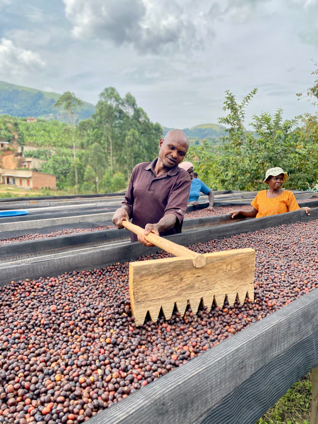 KIGEZI VALLEY