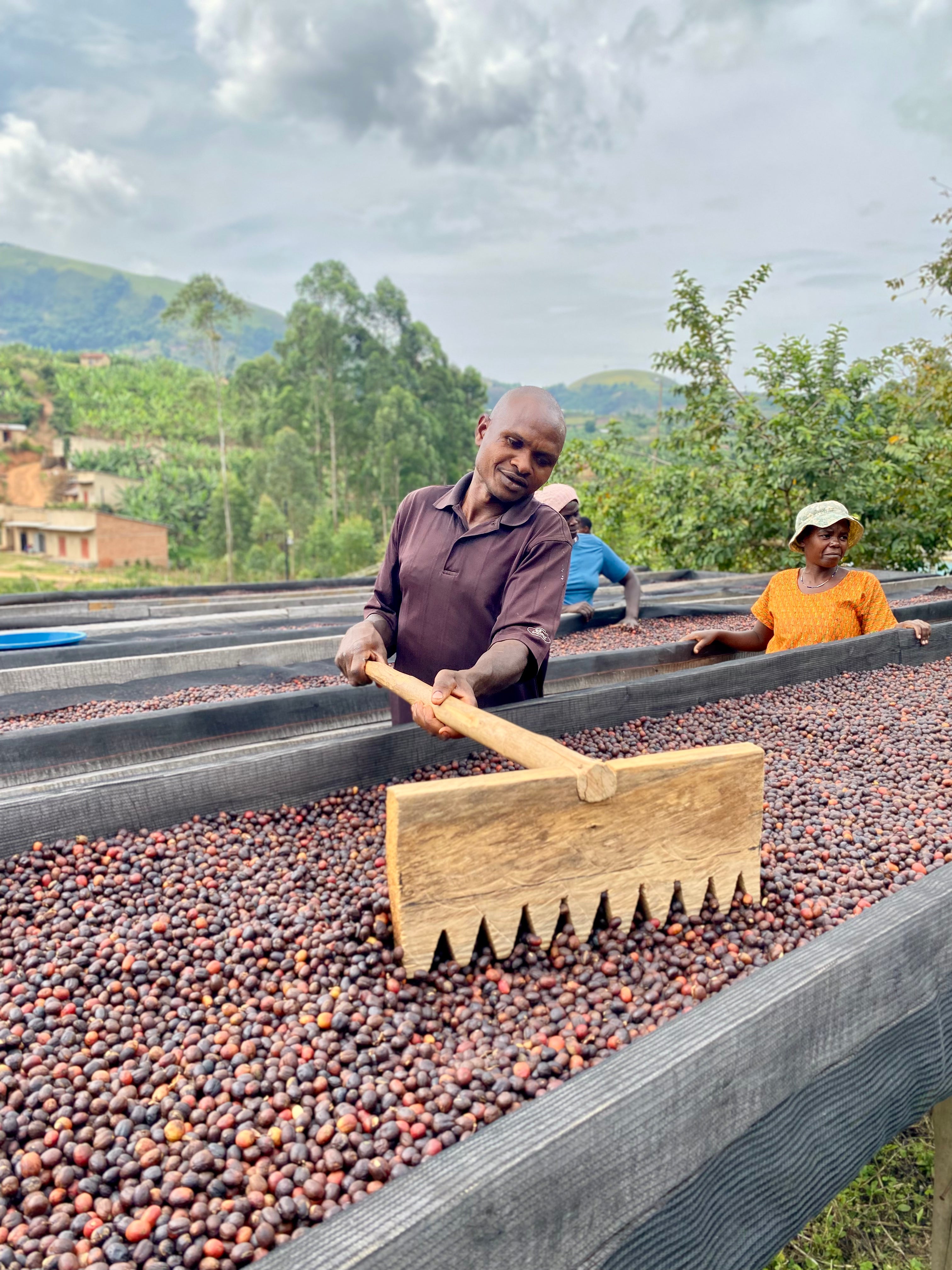 KIGEZI VALLEY