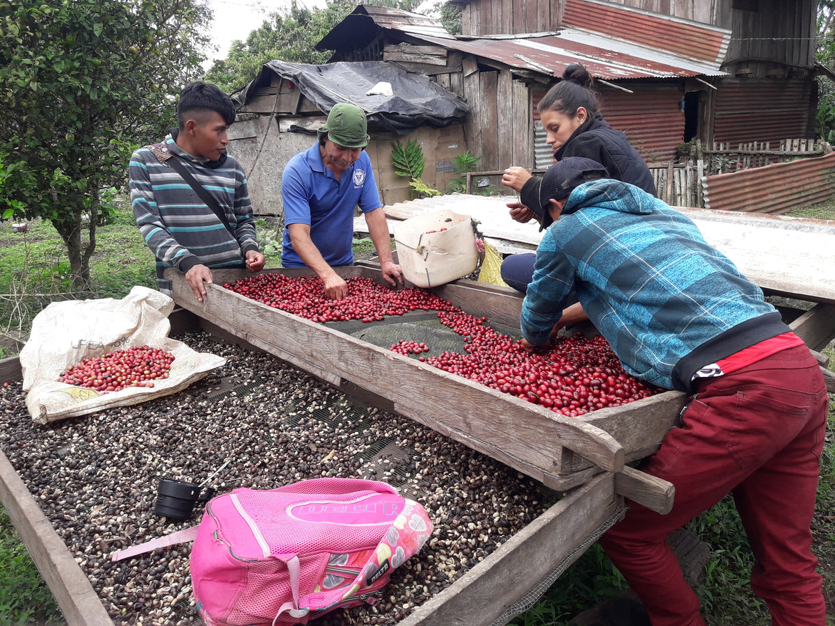 GOLD MOUNTAIN FARMERS