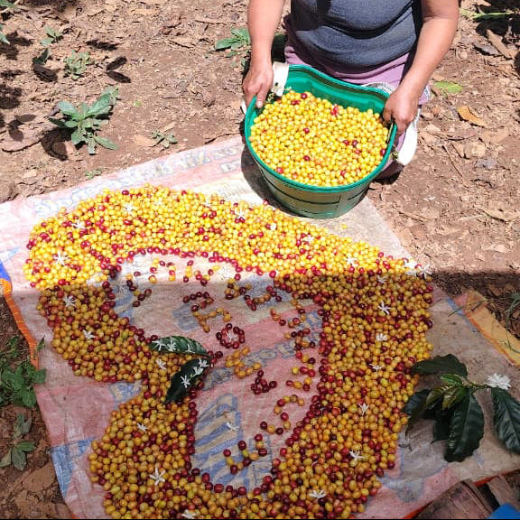 LAS MUJERES DE AMOJU